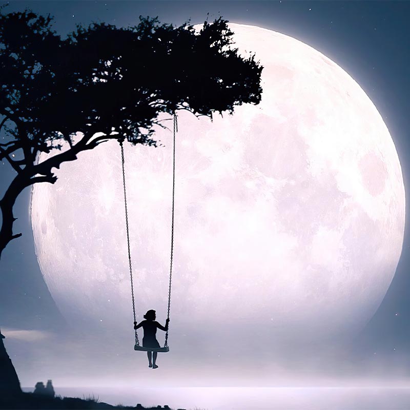 خرید و قیمت کتاب رمان و داستان | نولاین