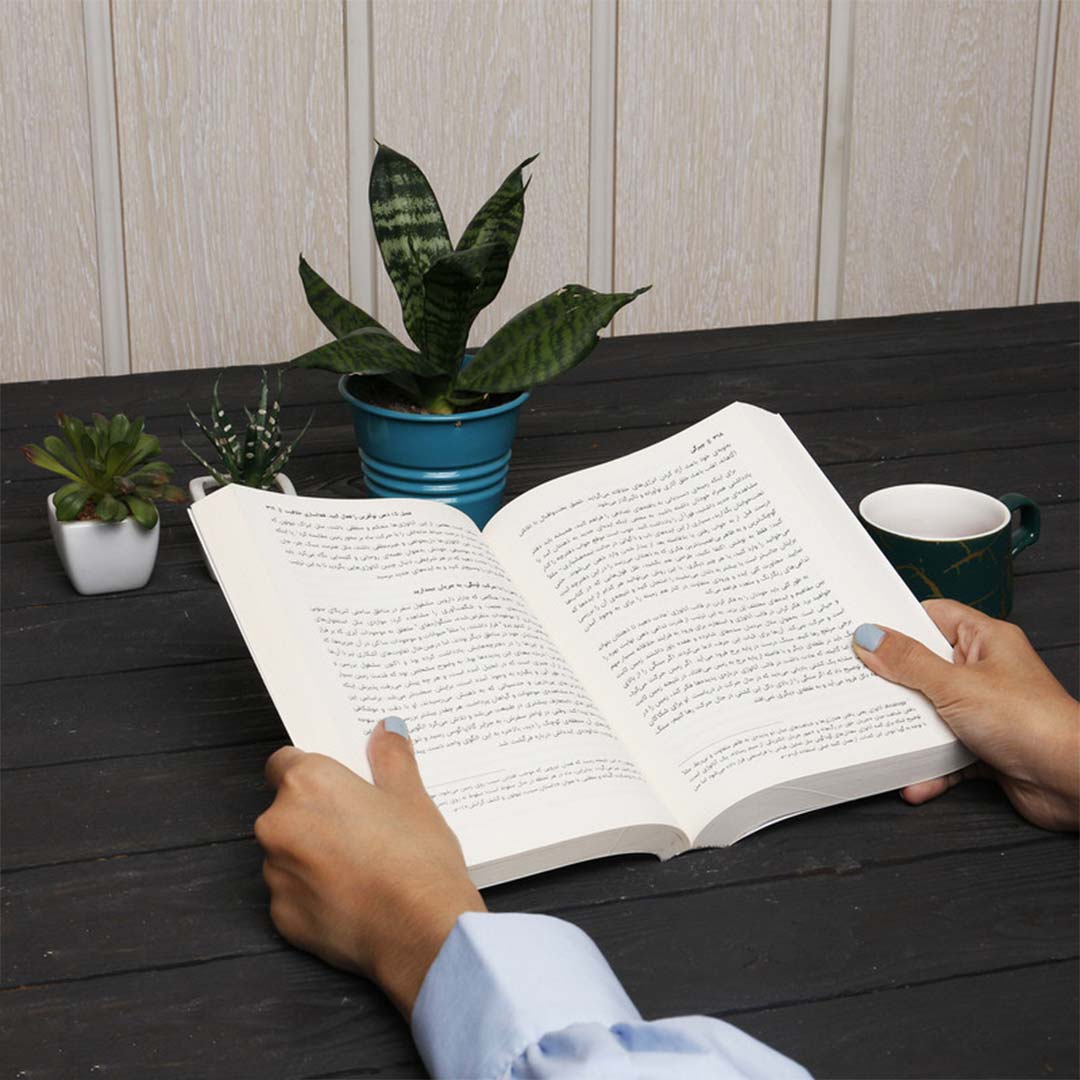 قیمت و خرید کتاب چیرگی اثر رابرت گیرین انتشارات نوین | نولاین قیمت و خرید کتاب چیرگی اثر رابرت گیرین انتشارات نوین | نولاین