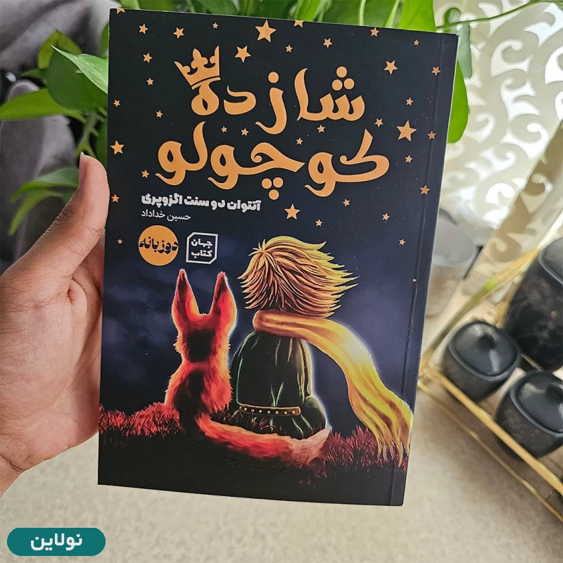 قیمت و خرید کتاب شازده کوچولو نسخه دوزبانه اثر آنتوان دوسنت اگزوپری | نولاین