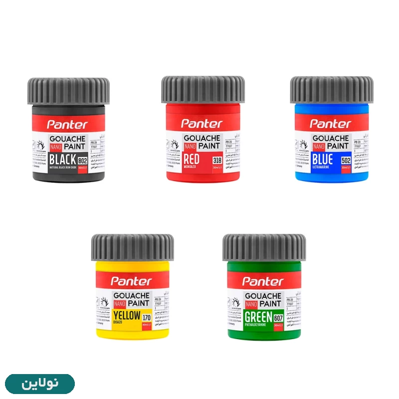 قیمت و خرید گواش 6 رنگ پنتر مدل نانو پوشرنگ حجم 30 میلی لیتر کد 6-711 | نولاین