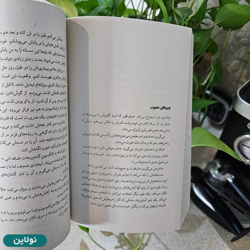 قیمت و خرید کتاب به امید دل بستم اثر لنکالی انتشارات داهی | نولاین