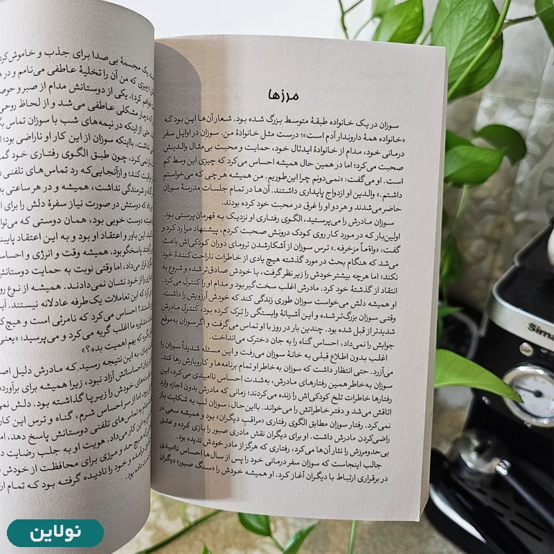 قیمت و خرید کتاب نجات از هزارتو اثر نیکول لاپرا انتشارات آبیژ | نولاین قیمت و خرید کتاب نجات از هزارتو اثر نیکول لاپرا انتشارات آبیژ | نولاین