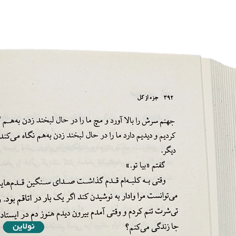 قیمت و خرید کتاب جزء از کل اثر استیو تولتز انتشارات چشمه | نولاین