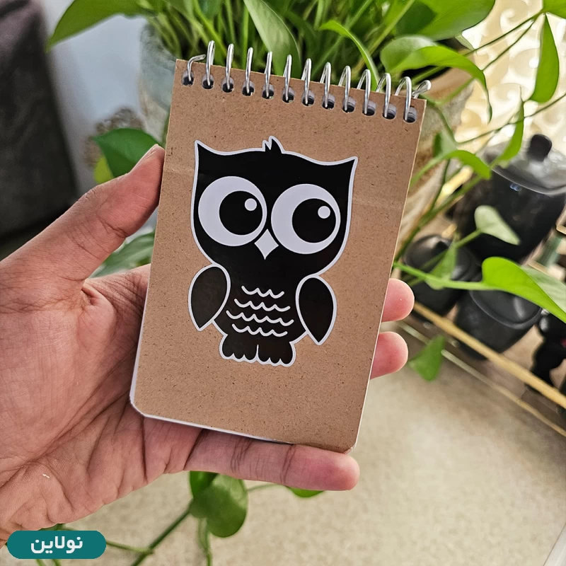 قیمت و خرید دفترچه یادداشت نقاشی 100 برگ مستر راد طرح جغد جلد کرافت کد 1703 | نولاین