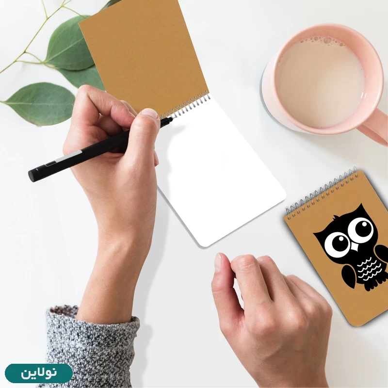 قیمت و خرید دفترچه یادداشت نقاشی 100 برگ مستر راد طرح جغد جلد کرافت کد 1703 | نولاین