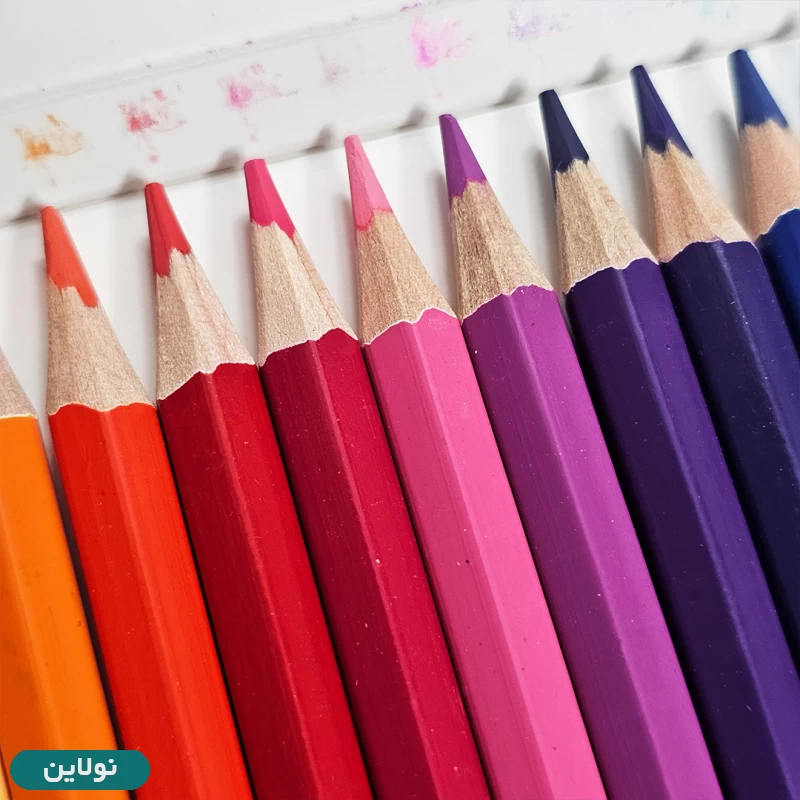 قیمت و خرید مداد رنگی 24 رنگ پیکاسو جعبه مقوایی طرح خرس کد GOL-24-C | نولاین