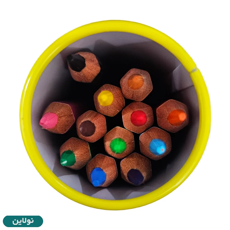 قیمت و خرید مداد رنگی 12 رنگ پیکاسو استوانه فلزی طرح خرس و ماشین GOL12TN-S | نولاین