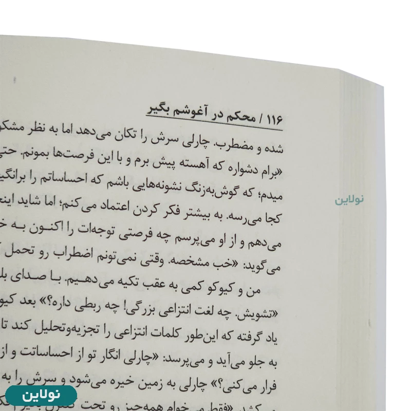 قیمت و خرید کتاب محکم در آغوشم بگیر اثر سو جانسون انتشارات نیک فرجام | نولاین