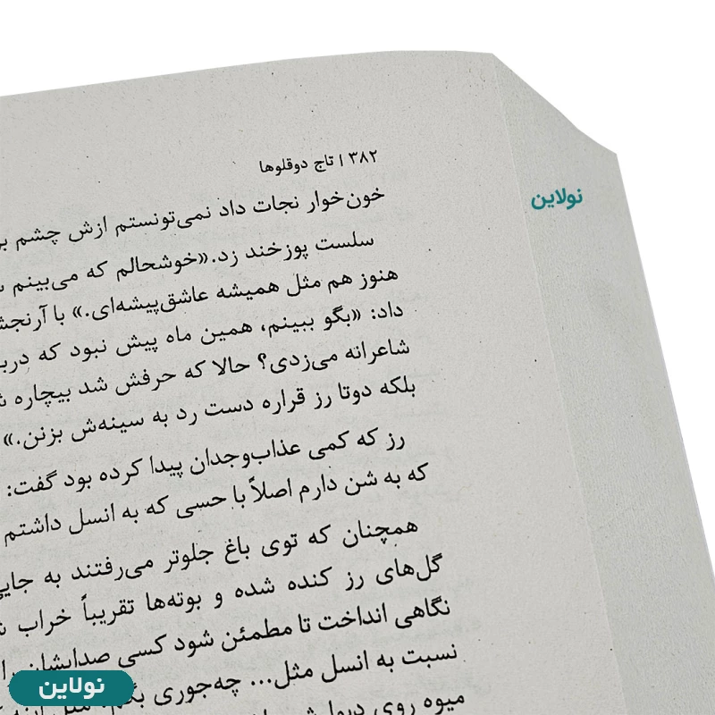 قیمت و خرید کتاب تاج دوقلوها اثر کاترین دویل و کاترین وبر انتشارات مجازی | نولاین