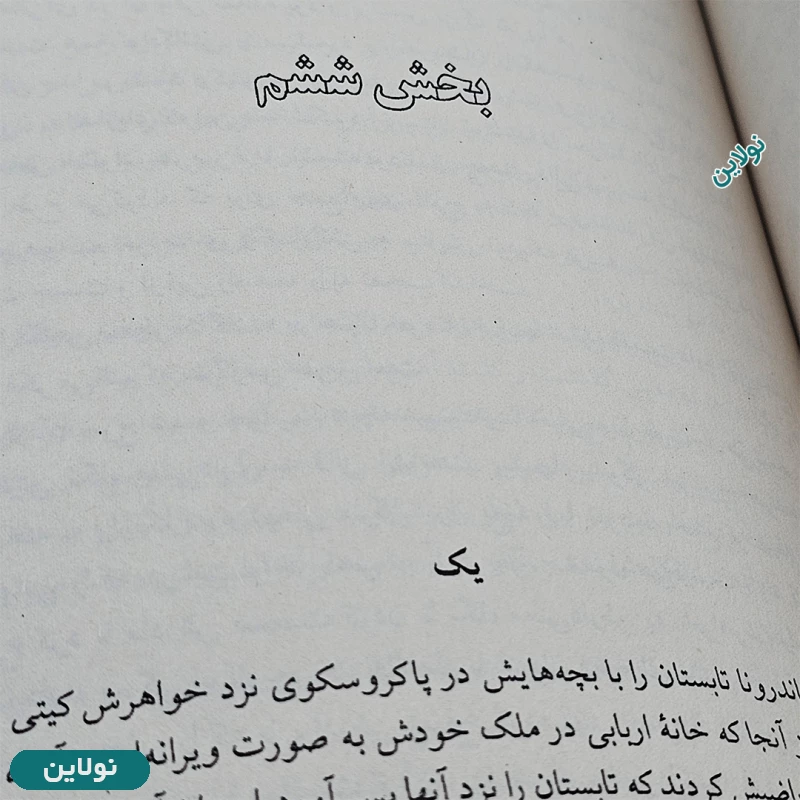 قیمت و خرید پک دو جلدی کتاب آنا کارنینا اثر لئو تالستوی انتشارات نیلوفر | نولاین