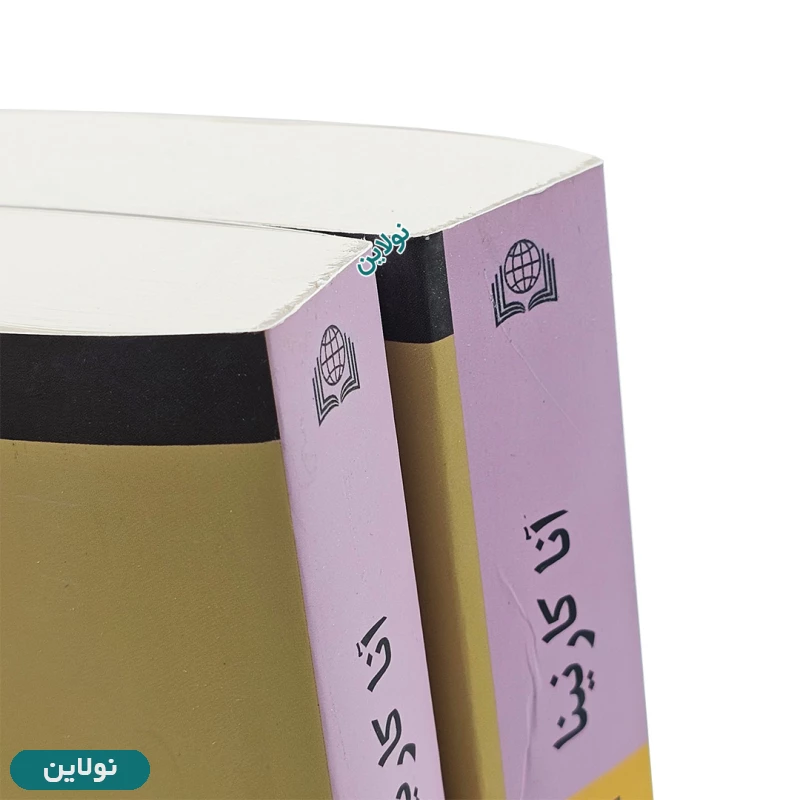 قیمت و خرید پک دو جلدی کتاب آنا کارنینا اثر لئو تالستوی انتشارات نیلوفر | نولاین