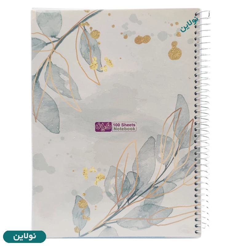قیمت و خرید دفتر مشق 100 برگ سیمی مجلد دایان سری گلوریا Gloria کد 507 | نولاین