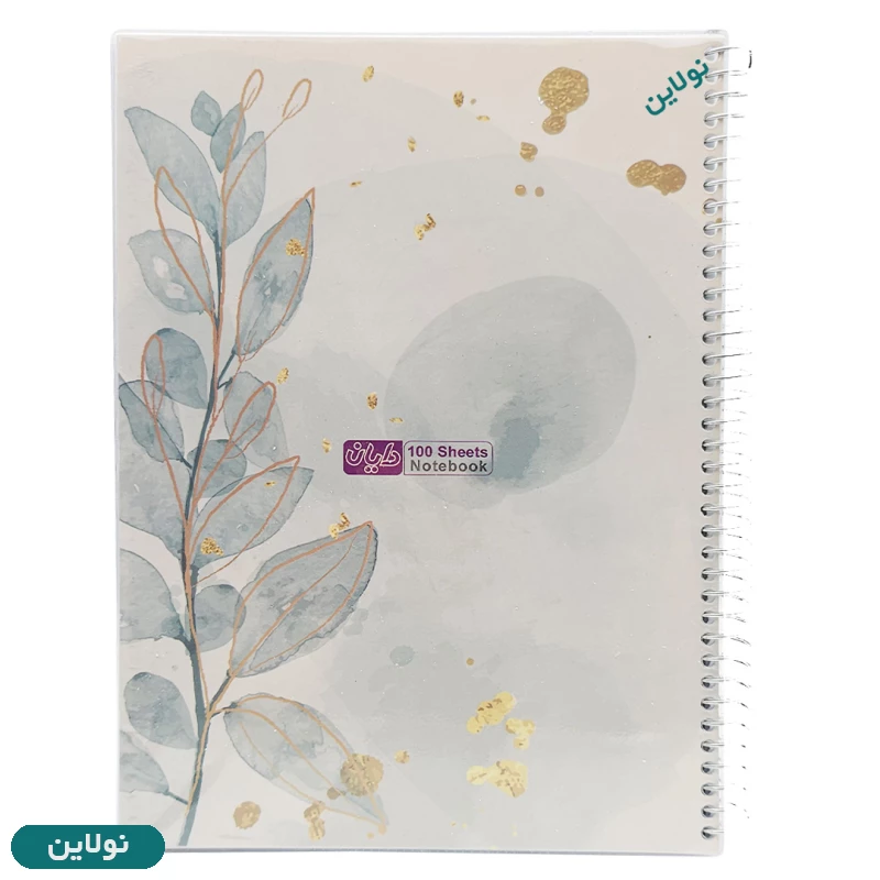 قیمت و خرید دفتر مشق 100 برگ سیمی مجلد دایان سری گلوریا Gloria کد 507 | نولاین