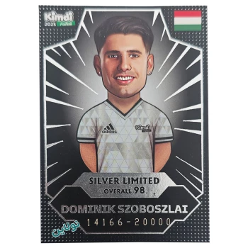 کارت بازی تکی کیمدی سری سیلور لیمیتد دومینیک سوبوسلای Silver limited | نولاین