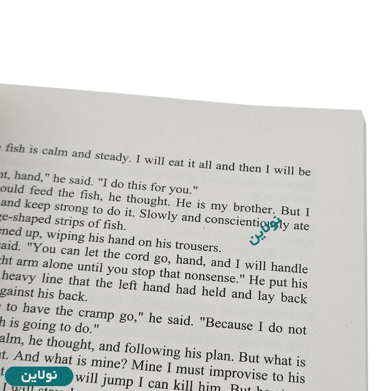 قیمت و خرید کتاب پیرمرد و دریا اثر ارنست همینگوی انتشارات ایرمان | نولاین