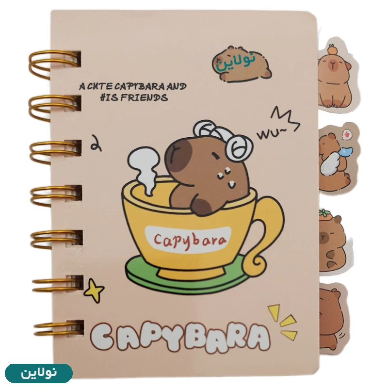 قیمت و خرید دفترچه یادداشت فانتزی دیوایدر دار مدل کاپی بارا | نولاین