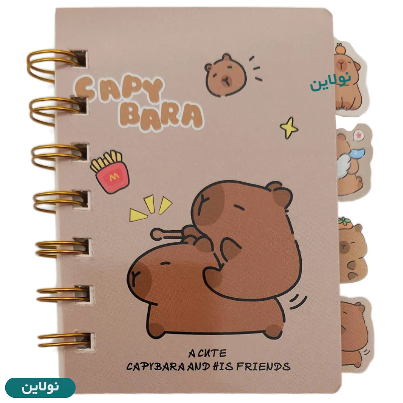 قیمت و خرید دفترچه یادداشت فانتزی دیوایدر دار مدل کاپی بارا | نولاین