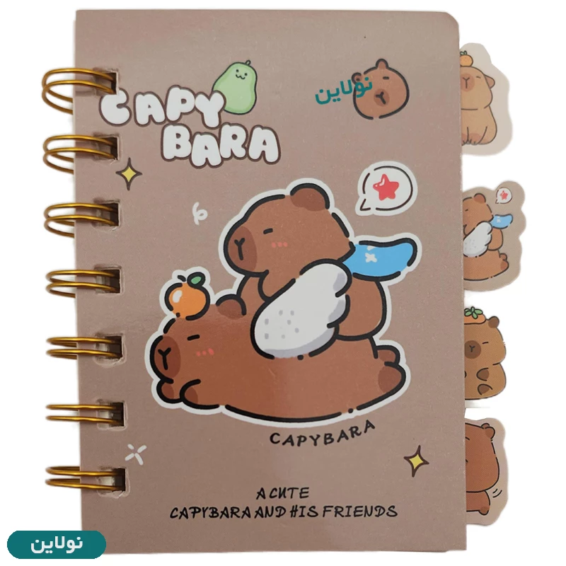 قیمت و خرید دفترچه یادداشت فانتزی دیوایدر دار مدل کاپی بارا | نولاین