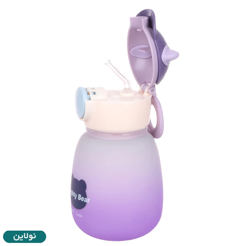 قیمت و خرید قمقمه فانتزی طرح خرس Naughty Bear | نولاین