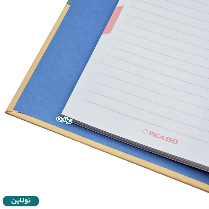 قیمت و خرید کلاسور 20 سوارخ پیکاسو مدل مینیمال کد 2905 | نولاین
