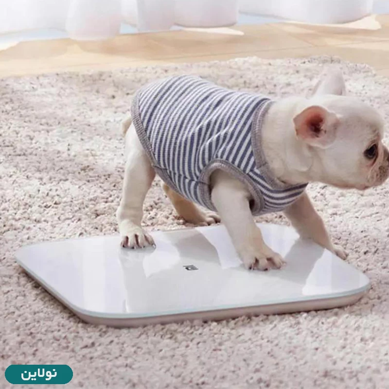 قیمت و خرید ترازو هوشمند شیائومی مدل Mi Scale 2 کد XMTZC04HM | نولاین