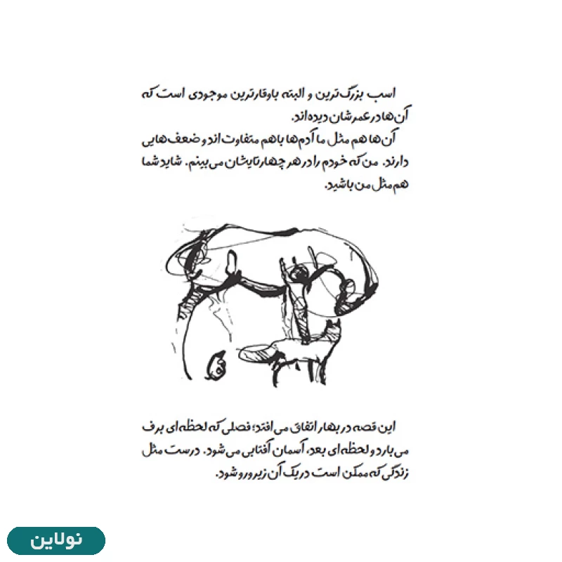 قیمت و خرید کتاب پسرک موش کور روباه و اسب اثر چارلی مکسی انتشارات پنتر | نولاین